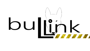 Bullink - Vomi Consulting Bullink - Vomi Consulting