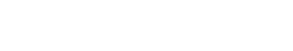 BizzWithMe logo